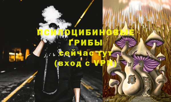 молекула духа Нея