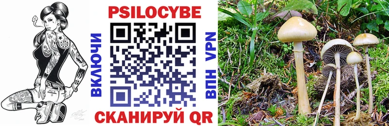 Псилоцибиновые грибы прущие грибы  Урень 